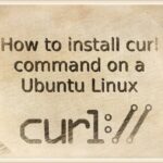 Hướng dẫn cài đặt cURL trên Ubuntu Linux