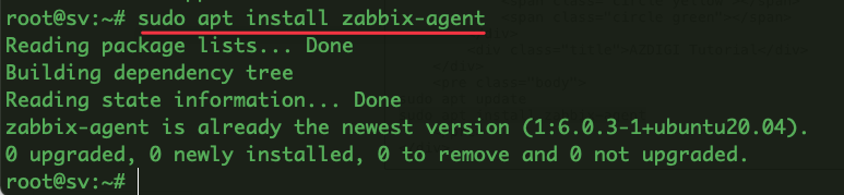 Hướng dẫn cài đặt Zabbix Agent trên Ubuntu 20.04