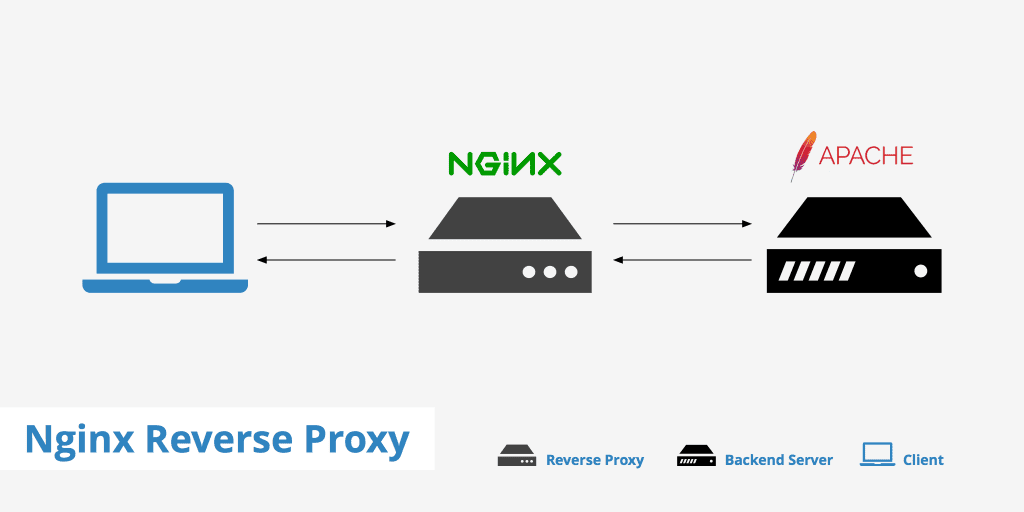 reverse proxy NGINX Apache Directadmin