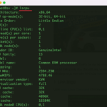 Một số cách xem thông số CPU trên Linux